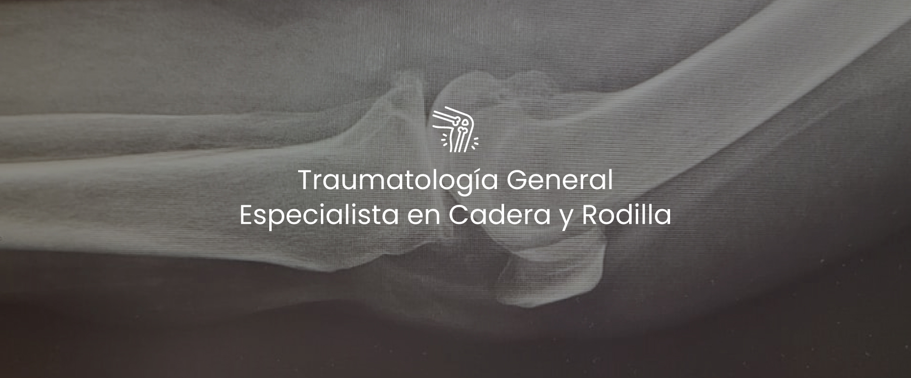 yolanda malan_landing v_5-13